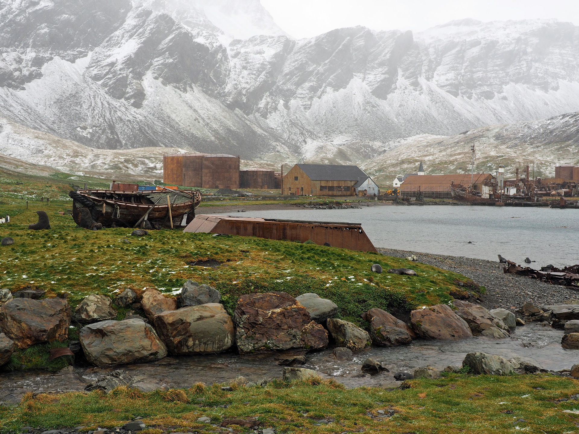 Bildet viser Grytviken industrisamfunn på Syd-Georgia. Foto: Siri Wolland.