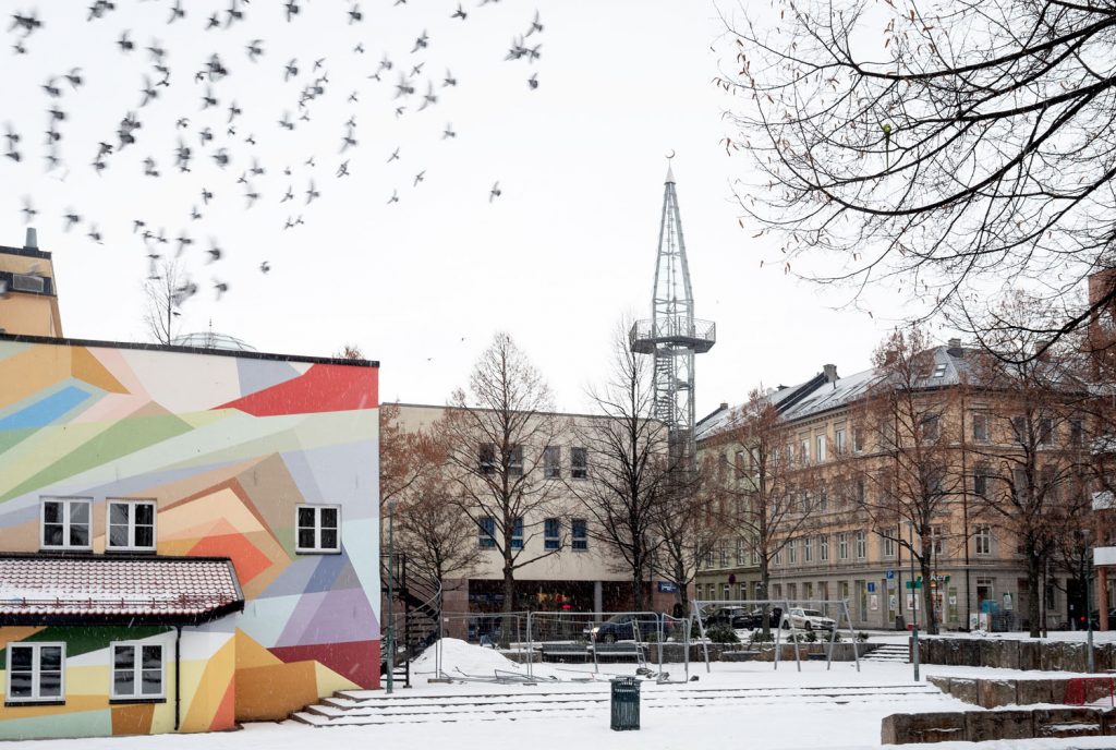 Illustrasjonsfoto fra Urtehagen på Grønland i Oslo, med snø og fugler på himmelen