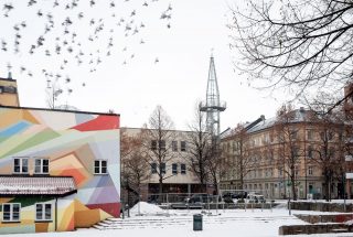 Illustrasjonsfoto fra Urtehagen på Grønland i Oslo, med snø og fugler på himmelen