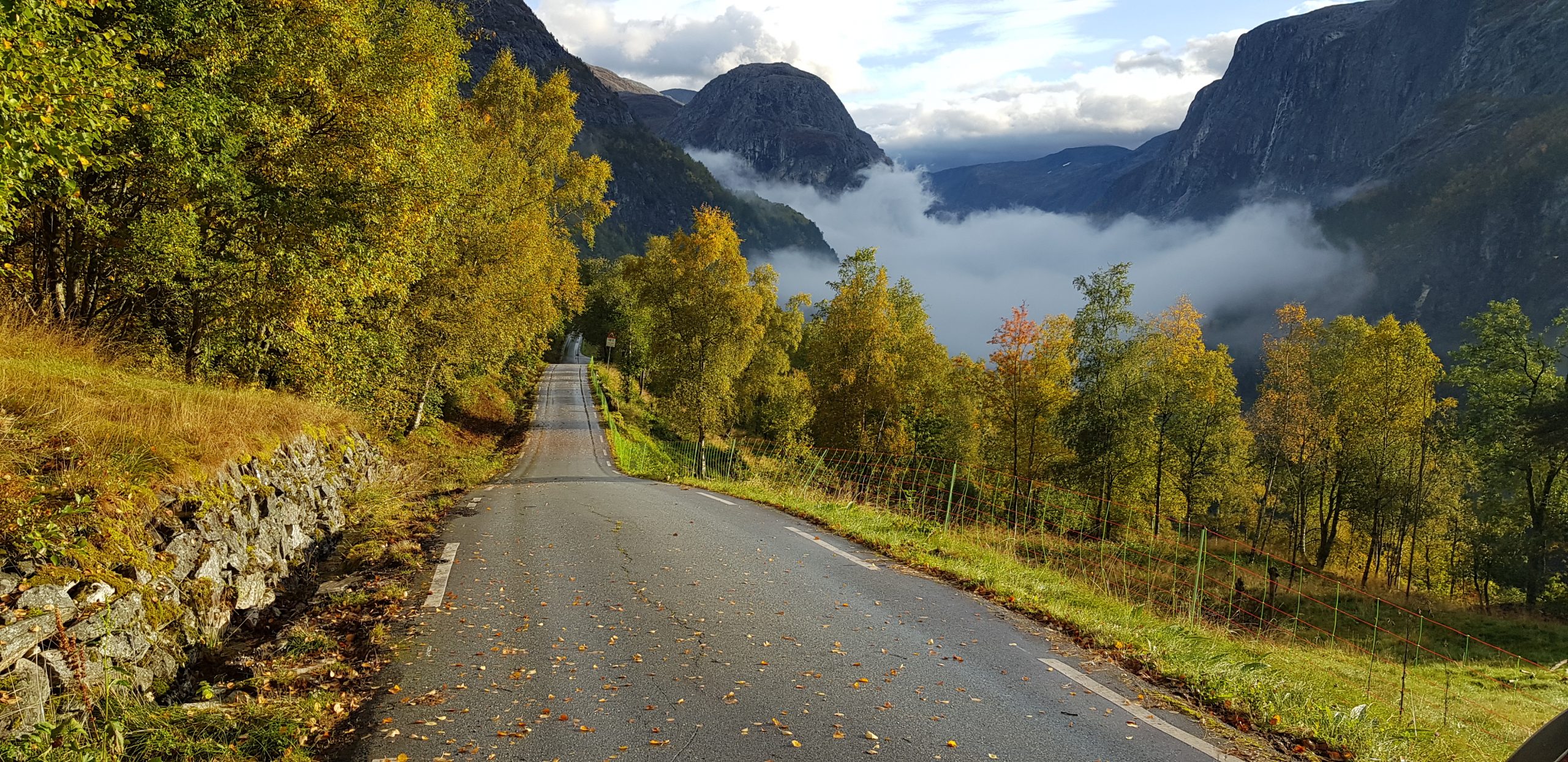 Bildet viser en asfaltert landevei som går gjennom grønt og frodig landskap. Fremover til høyre ligger fjellanskap med tåke nede langs bakken mellom fjellene.