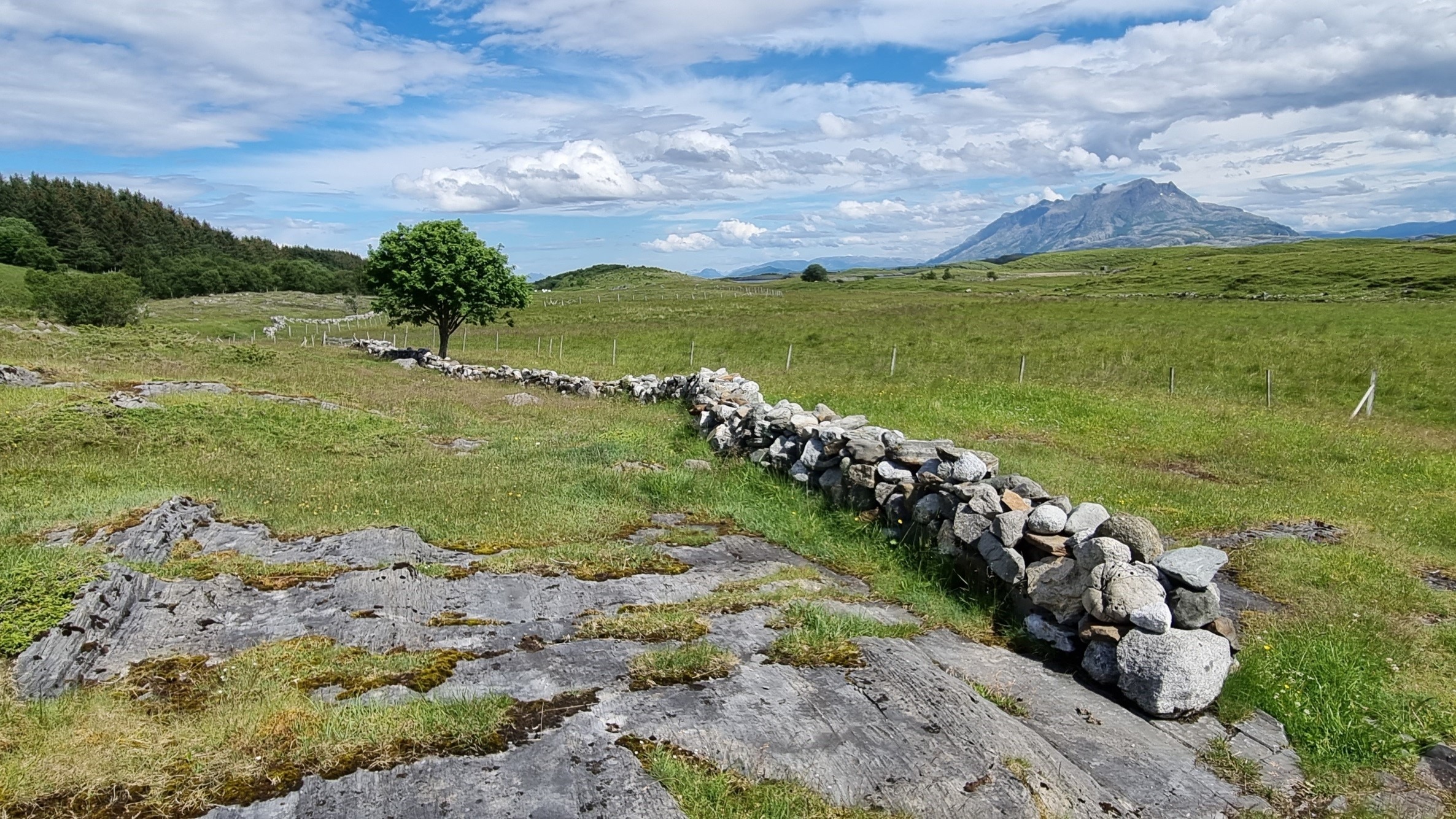 Stien er foreslått lagt om slik at man får sett disse restaurerte steingjerdene. Her ser vi fjellrekken Syvsøste mot nord.