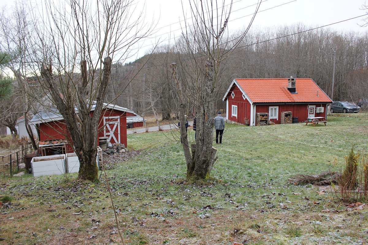 Bildet viser tunet med hage og uthuset og bolighuset. begge oppførst i rødt treverk med hvite karmer og detaljer.