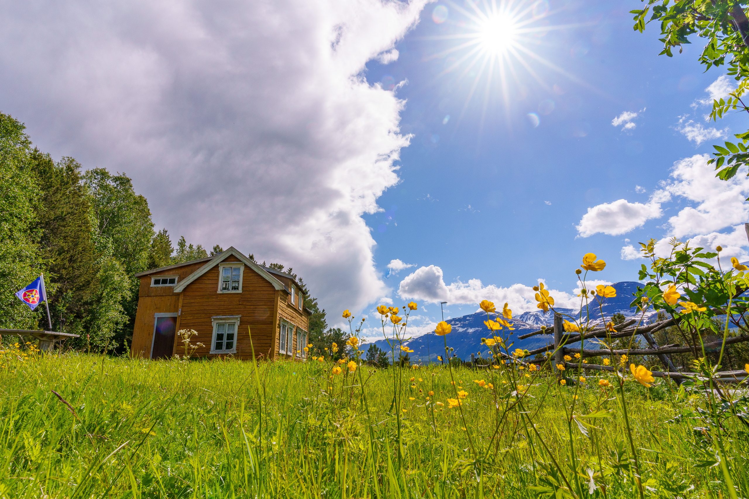 Det gule hovedhuset på den kvenske gården Hottitalo / Hottigården, sett en sommerdag med sol, flagg og en blomstereng med smørblomster i forgrunnen.