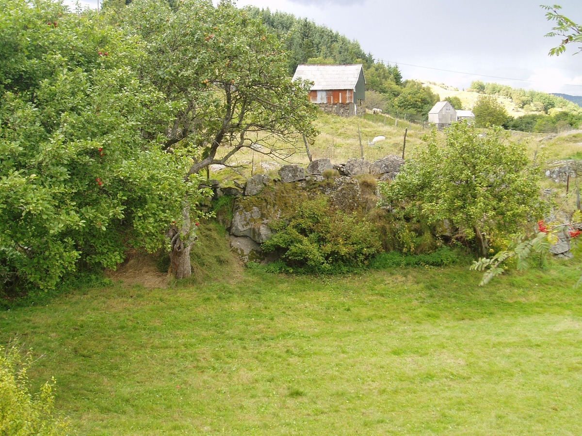 Bildet viser Strandasida, en hage med frukttrær, bærbusker og grønn slåtteng